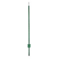 Green Coated 1.25lb Studded T Post